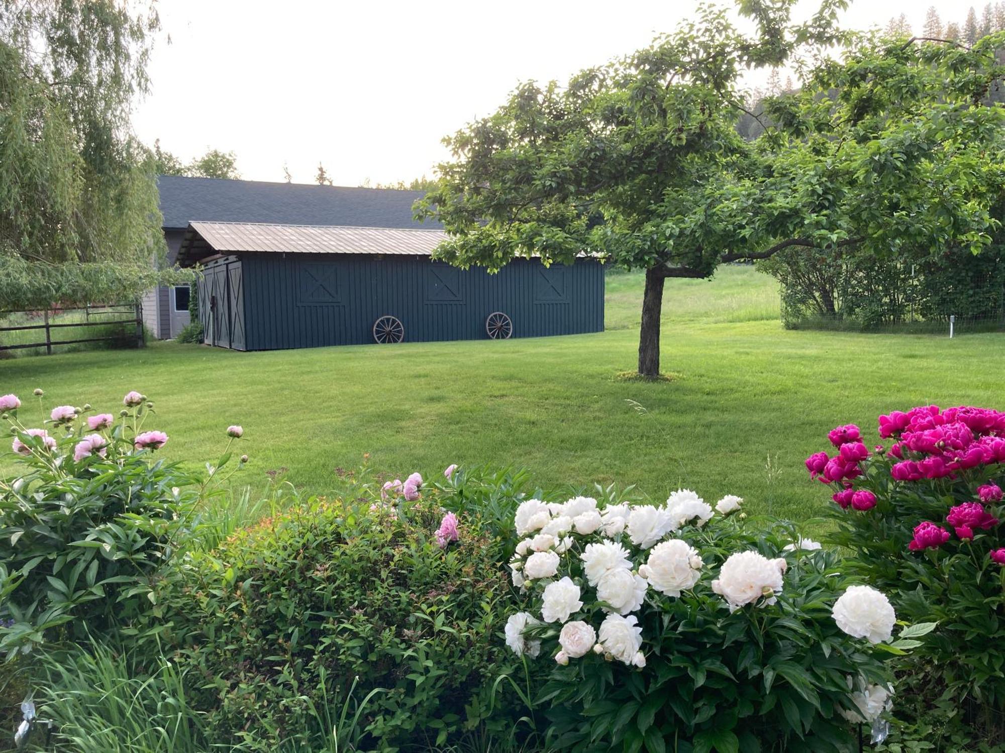 Hideaway Ranch Guest House Bonners Ferry Exterior photo